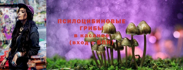 MESCALINE Богданович